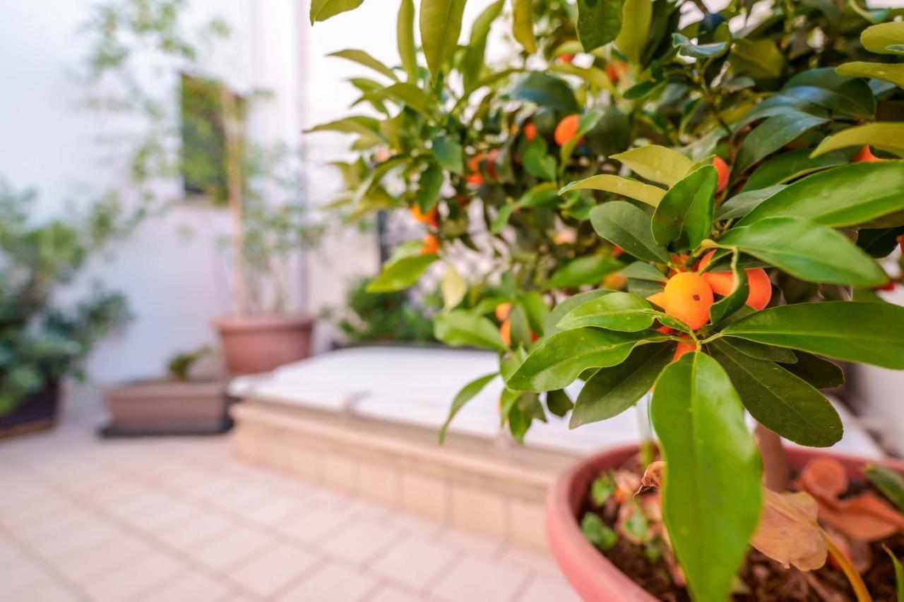 Bed And Breakfast Cairoli Exclusive Room Сан Пиетро Вернотико Екстериор снимка